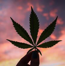 La legalizzazione in Europa parte dal Lussemburgo
