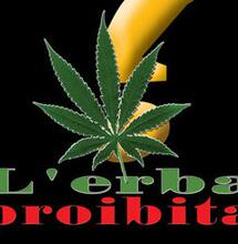 L’erba proibita: storia del film simbolo di una generazione