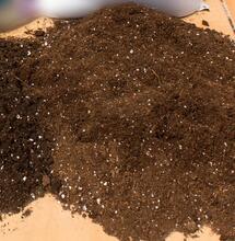 La importancia de escoger un buen sustrato