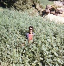 Landraces, ces variétés rares et menacées