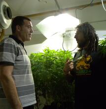 Jaime de Resin Seeds y Jimmi de Reggae Seeds, los iniciadores de la ola CBD