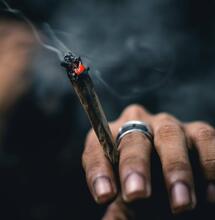 Argentina, México, Panamá y Costa Rica mueven sus piezas para regular la marihuana en 2022. 