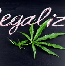 sign with a marijuana leaf and the words legalize!