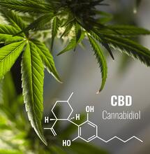 CBD in Europa - Wie ist es um den Rechtsstatus bestellt?