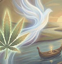 Fallece Jay Jackson: El visionario que revolucionó la hidroponía