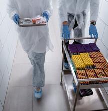 Facing a Drug Test? Read This First 