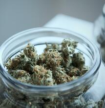 Legalizace v New Jersey