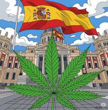 Legalización del cannabis en España: situación actual