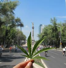 Legalizzazione cannabis in Messico: l'approfondimento