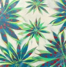 Les peintures cannabiques de MCCM