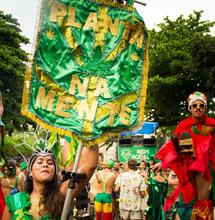 Brasil: proyecto de ley para legalizar el cannabis