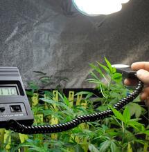 ¿Cómo usar un luxómetro para marihuana?