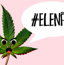 Bolsonaro: una gran amenaza fascista