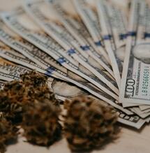 Maine recreational cannabis market profits for 2023