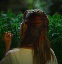 Mala Yerba la nueva serie cannábica.