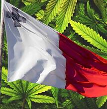 Malta legalizza la cannabis a scopo ricreativo