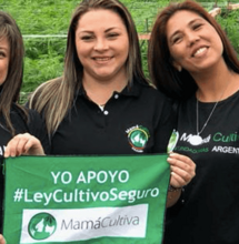 La medicina de mamá se latinoamericanizó