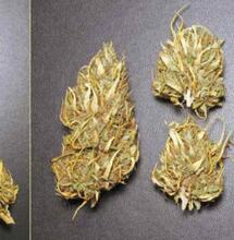 Una sesion de manicura nunca es igual a otra