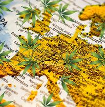 La cannabis è ancora la droga più usata in Europa?