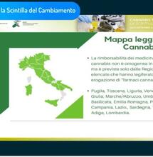 Malati e Cannabis, un caos all’italiana
