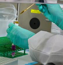 ¿Cómo zafar de un test de marihuana?