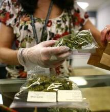 Nuevo México descriminaliza el cannabis