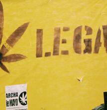 ¿Por qué legalizar la marihuana y su cultivo?