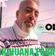 El atentado contra la salud pública es prohibir el Cannabis