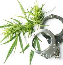 Pot Worth $1.2B Seized in Record Drug Bust in LA County