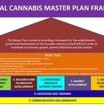 Sud Africa: presentato un Master Plan per la cannabis