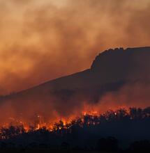 Cambio climático y cannabis: lo que El Niño nos dejó