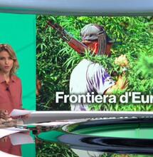 Rai e Cannabis, l'informazione va in fumo