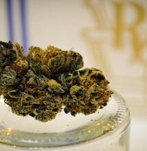 ¿Cómo administrar la marihuana medicinal?