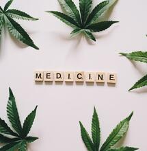 The Potential of CBG