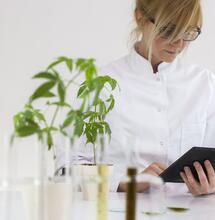 Cannabis als medicijn: het Medusa-onderzoek