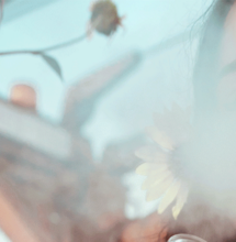 Apuntes sobre reducción de daños en el uso de cannabis