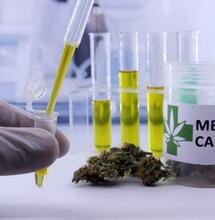 Merendeel patiënten regelt hun eigen mediwiet