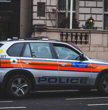 Cannabis Grows Thriving in Empty UK Police Buildings