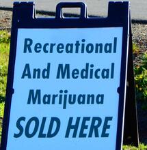 Should Mexico Legalise, Will Become the World's Biggest Cannabis Market