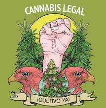 México prepara la Marcha Mundial de la Marihuana 2019