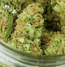 green cush in a bowl. 