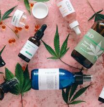 Michigan Market Update