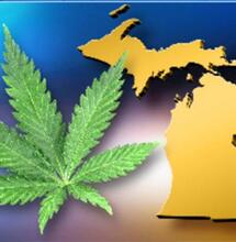 Stati Uniti, dopo le elezioni Midterm approvata la legalizzazione in Michigan e l'uso medico in Utah e Missouri