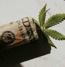 Michigan’s Weed Tax Money to Be Used for ‘Road Repair’