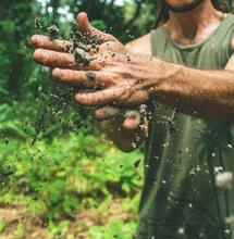 Micronutrients: Functions and Feed