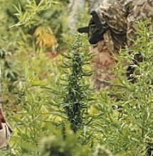 La excusa de “las drogas” permite la penetración de fuerzas especiales en temas domésticos.