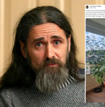 Europarlamentare posta la sua super pianta di Cannabis
