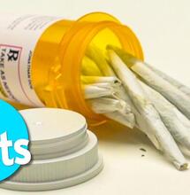 Top 5 Facts About Legalizing Drugs