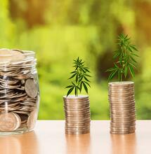 Vantaggi economici della legalizzazione della cannabis