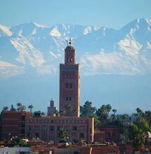 Erste Cannabis-Lieferung von Marokko in die Schweiz